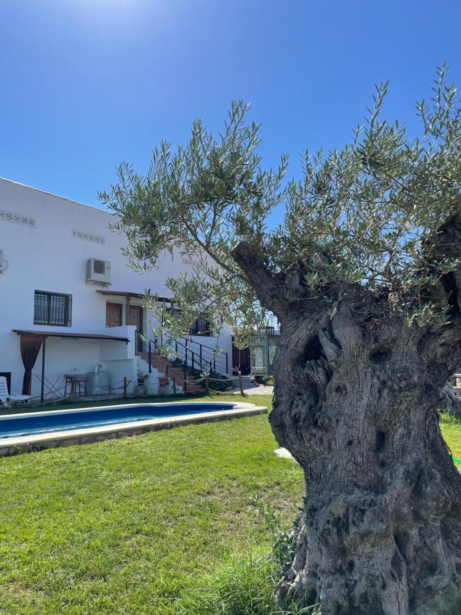Casa Rural El Miajon Βίλα El Campo  Εξωτερικό φωτογραφία